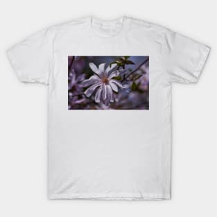 Magnolia flower closeup T-Shirt